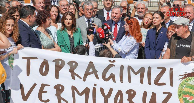 Vekil Gizem Özcan Akbelen’de başlatılan zeytin kesimlerini Meclis gündemine taşıdı