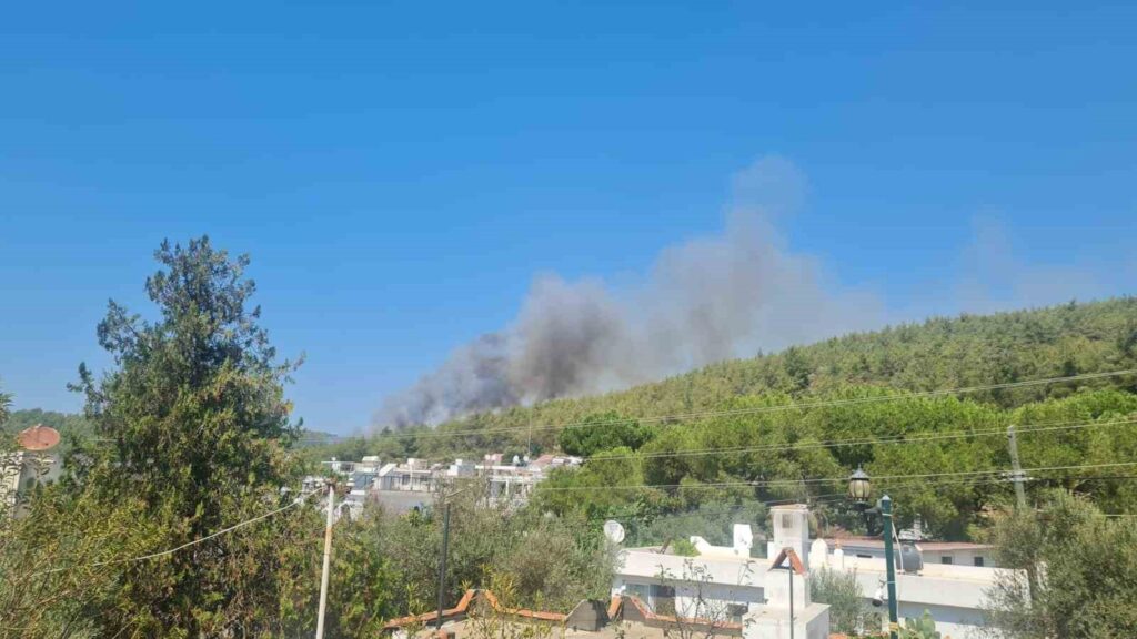 Bodrumda Orman Yangını Başladı