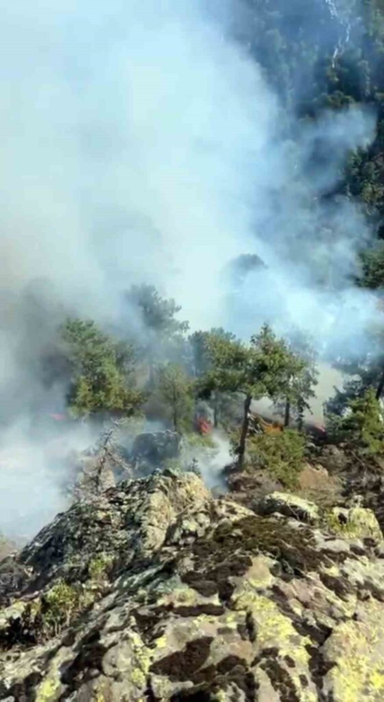 Köyceği̇z Otmanlar Yangını Devam Edi̇yor