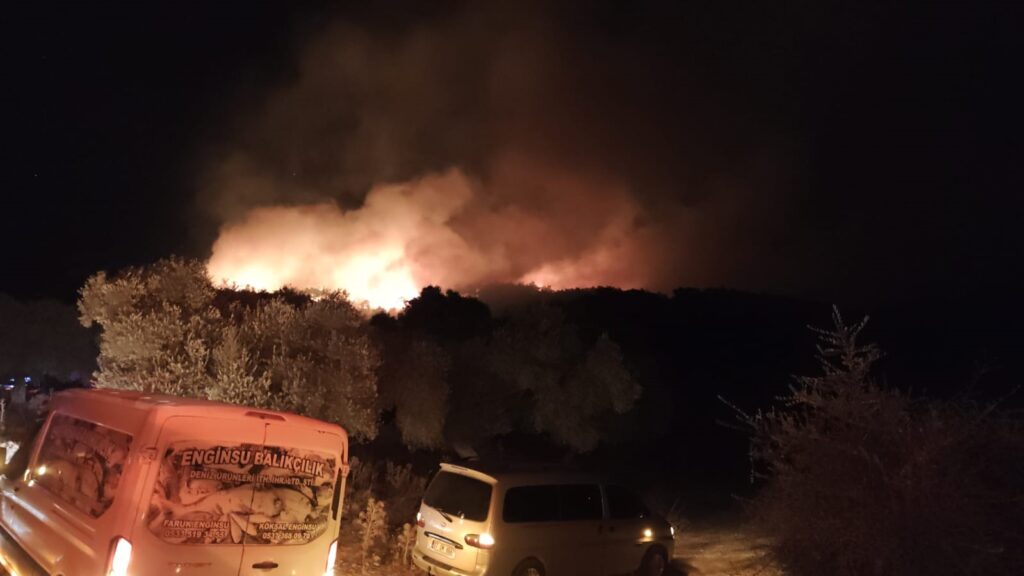 Mi̇lasta Orman Yangını