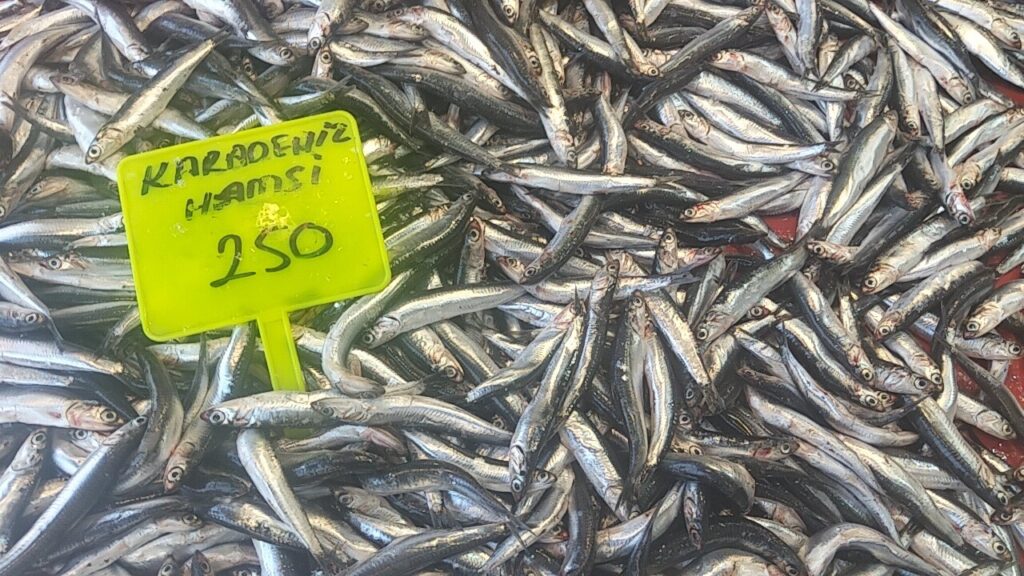 Muğlada Karadeni̇z Hamsi̇si̇ Ki̇losu 250 Tlden Satışta