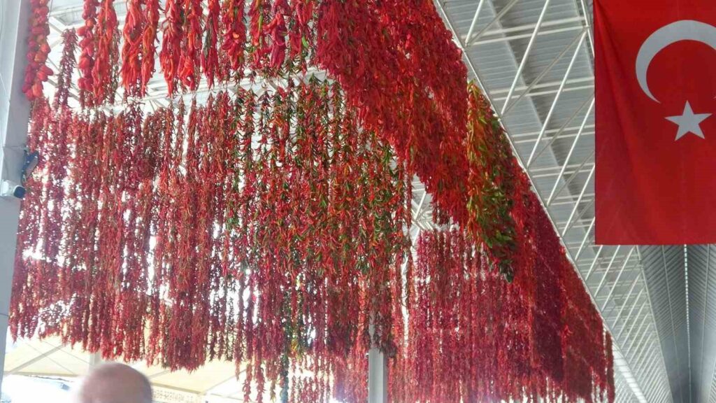 Muğlada Kurutmalıklar Yurt Dışına Açıldı