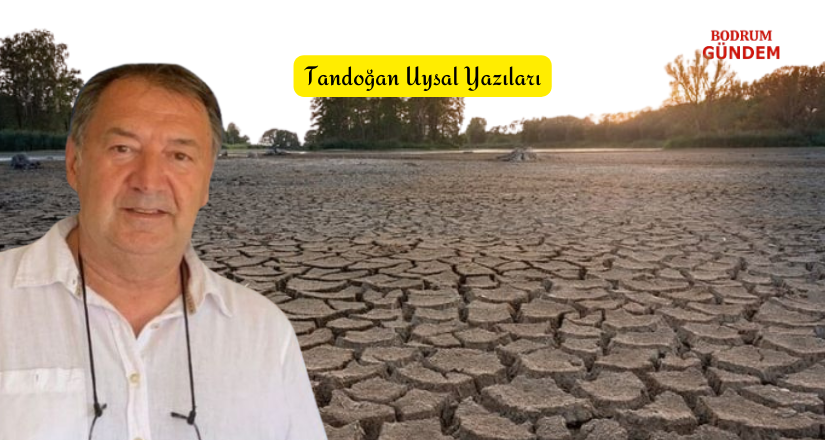 “Oxford Vardı da Biz mi Gitmedik?” Bodrum’da Su Var mıydı?