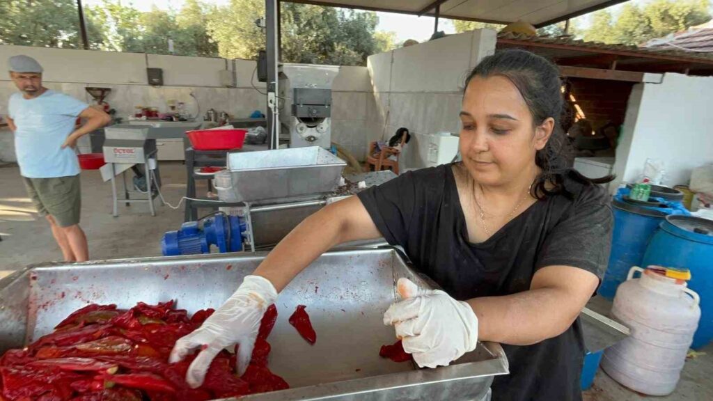 Üni̇versi̇te Mezunu Genç Kadın, Köyünde Üreti̇m Merkezi̇ Kurdu