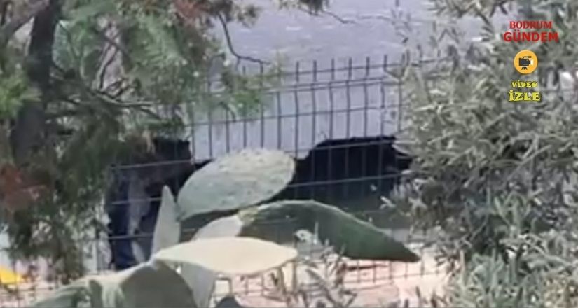 Bodrum’da Yolda Çökme Tehlikesi