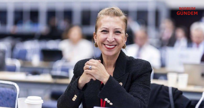 Vekil Öneş Derici, NATO-PA Genel Kurulu’nda