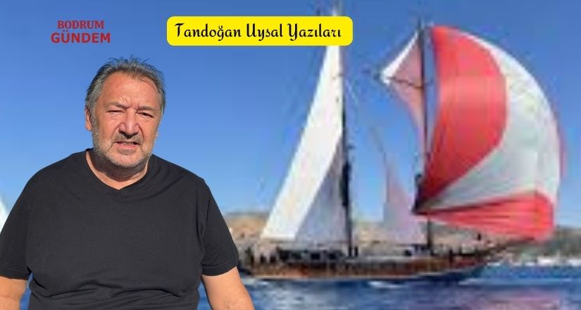 The Bodrum Cup, Betonun Arasında Bir Deniz Nefesi