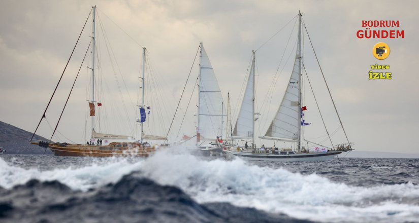 The Bodrum Cup yarışları tüm heyecanıyla devam ediyor
