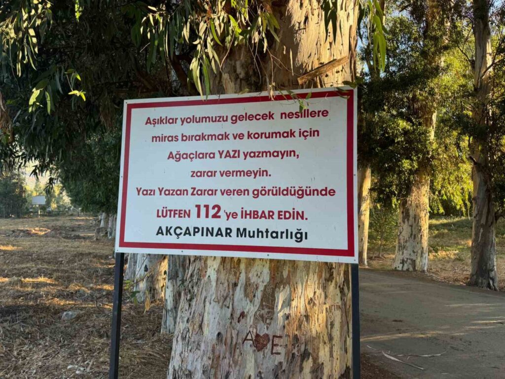 Ağaçlara Yazı Yazanları Tabela İle Uyardı