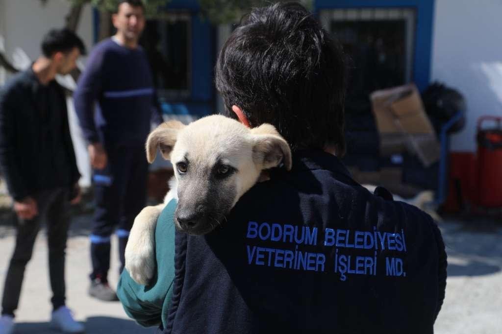 Eylem haksız ve yanıltıcıdır
