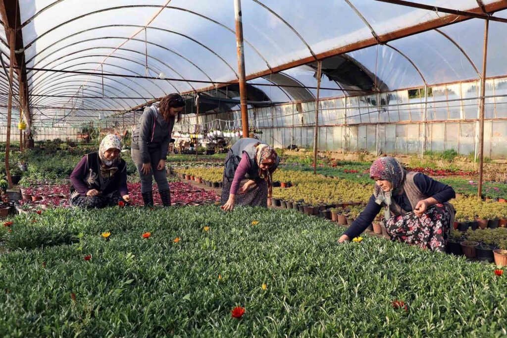 Kadın Emeği̇yle Yerel Kalkınma Güçlendi̇ri̇li̇yor