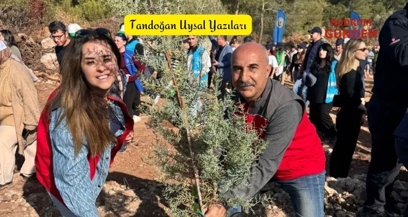Bodrum’un Ağaç Seferberliğinde Muammer Bektaş İmzası