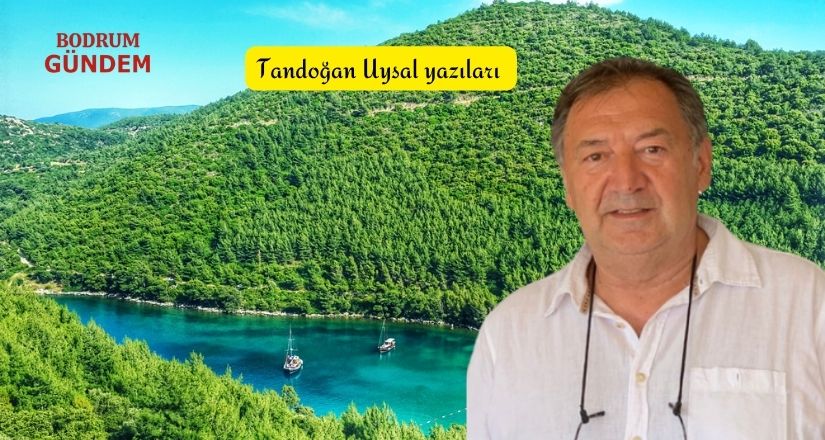 Bodrum’un Ağaç Seferberliği