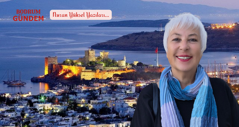 Şiddete Hayır