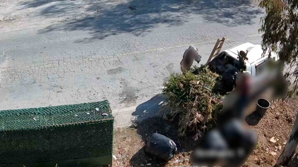 Bodrumda Çevreyi̇ Ki̇rletenler Beledi̇ye Kamerasına Yakalandı