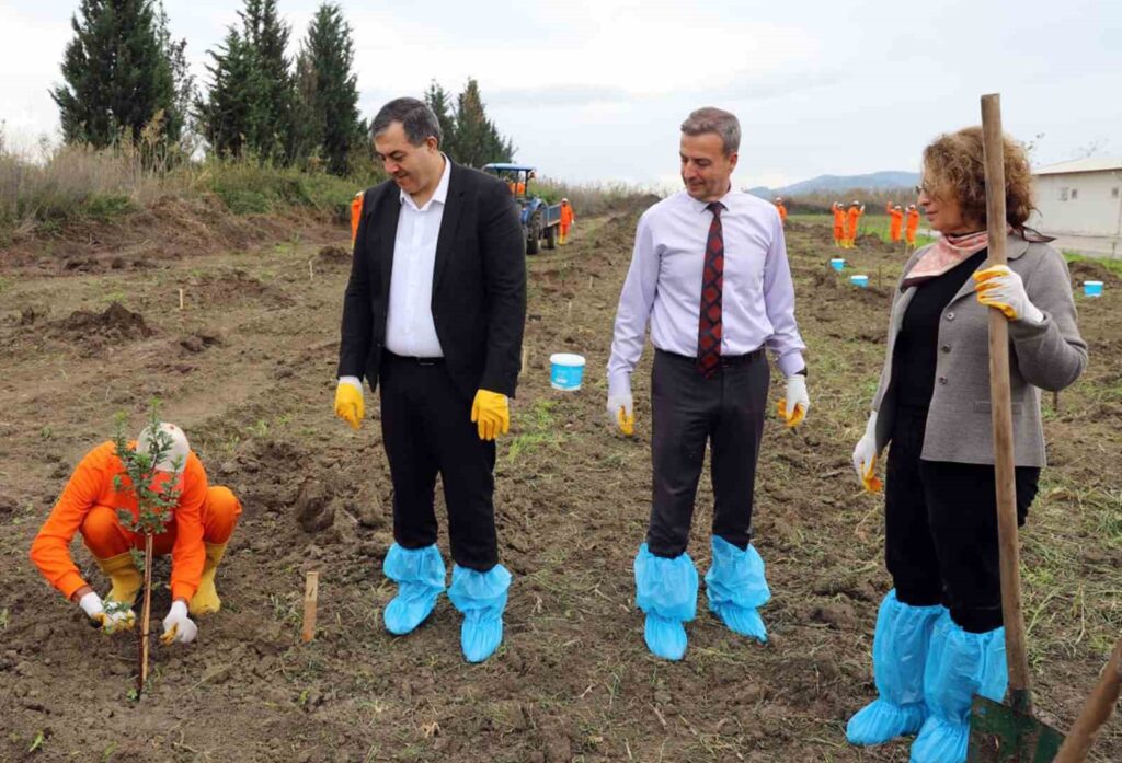 Açık Ceza İnfaz Kurumunda 10 Dekar Alana Sakız Ağacı Fi̇danı Di̇ki̇ldi̇