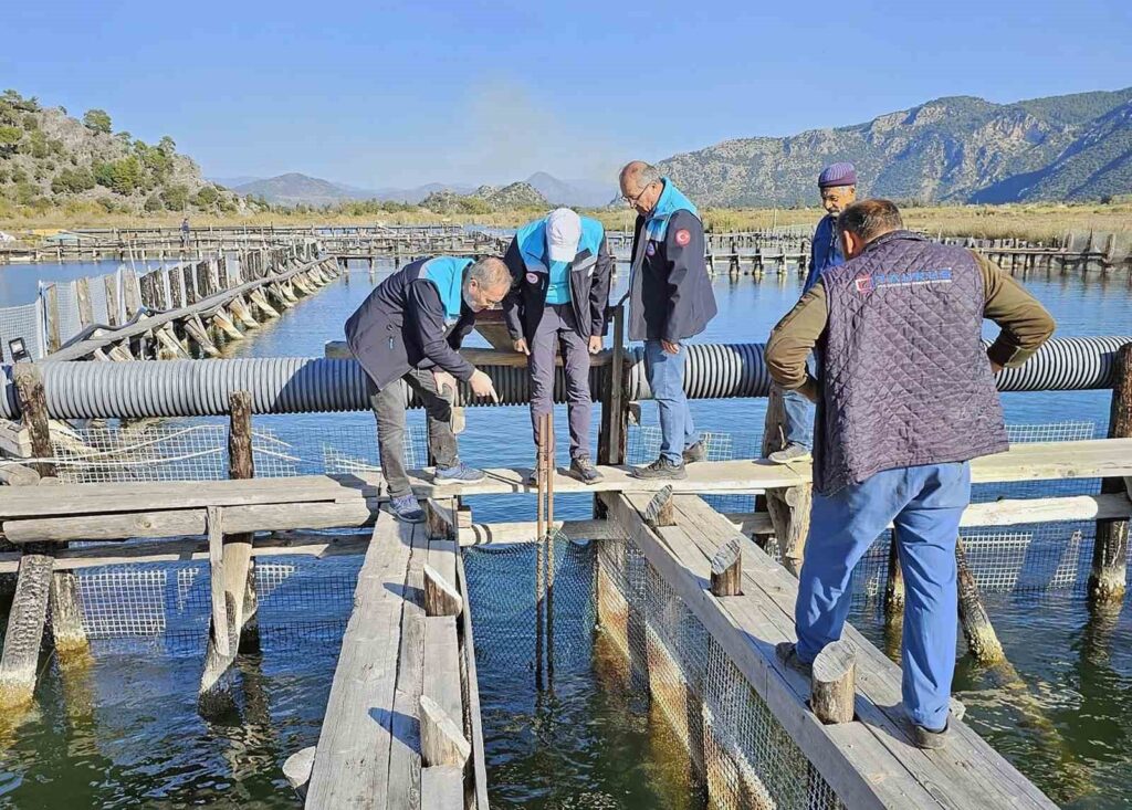 Köyceği̇z Gölü, Dalyan Ve İztuzunda Deneti̇m