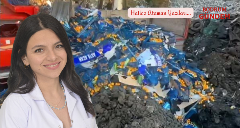 İmha Değil, İhmal: Plastik Kasalar Toprağa Gömülür mü?