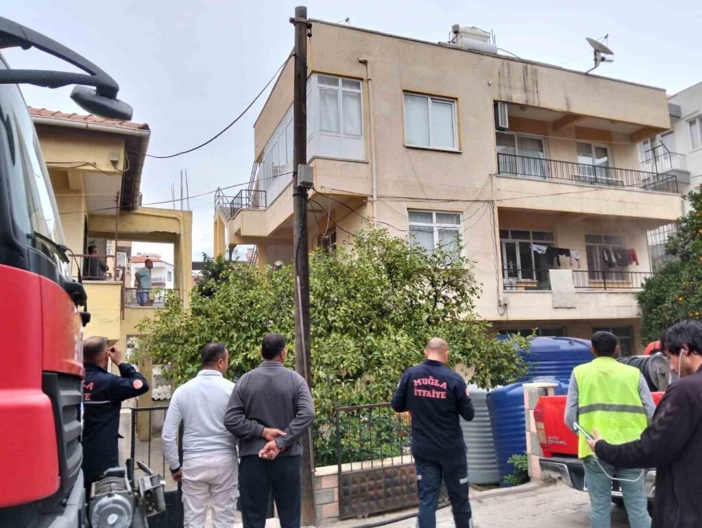 Ocakta Unutulan Yemekten Çıkan Yangında 2 Kedi̇ Telef Oldu