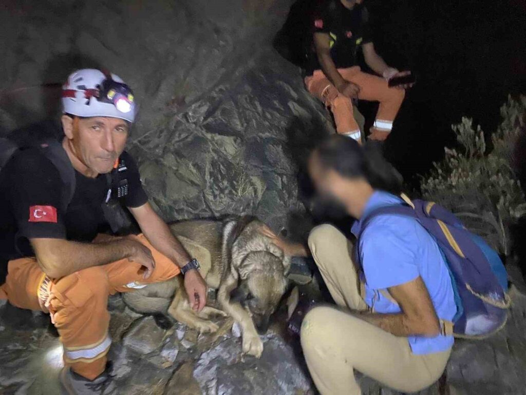 Ormanlık Alanda Mahsur Kalmıştı Kurtarıldı