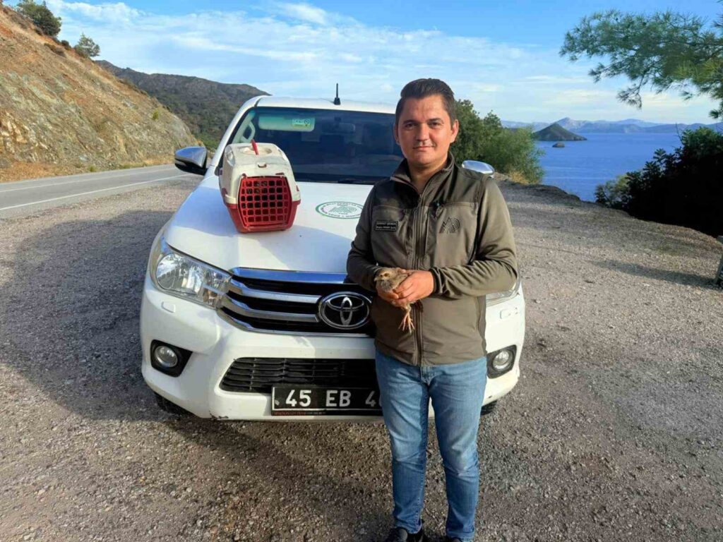 Yasadışı Kınalı Kekli̇k Satışına 28 Bi̇n Tl Ceza