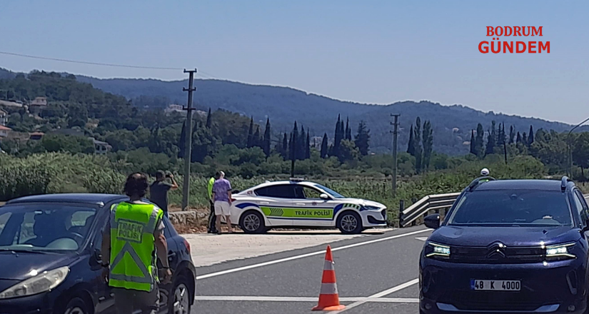 11 ayda 2 milyon 658 bin araç denetlendi