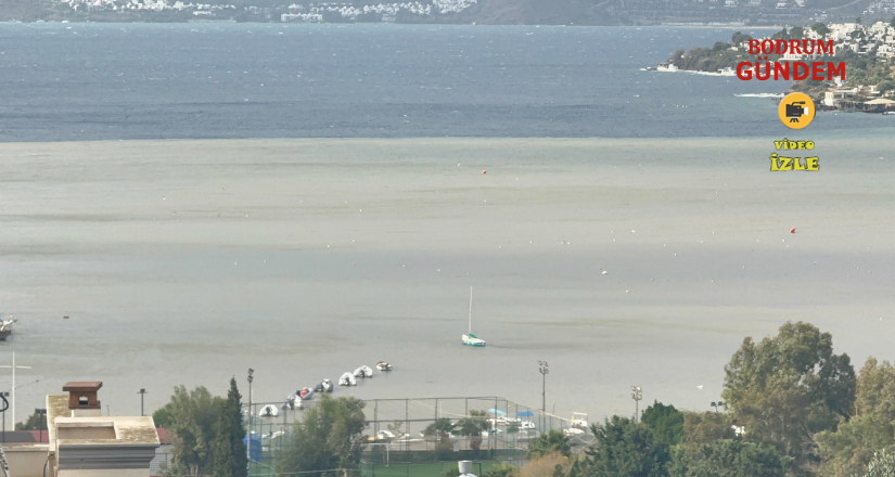 Bodrum’da Tekneler Karaya Oturdu, Deni̇zi̇n Rengi̇ Deği̇şti̇