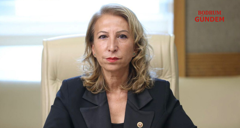 CHP’li Öneş Derici: “Akyaka Orman Kampı Doğal Sit Alanıdır, Korunmak Zorundadır!”