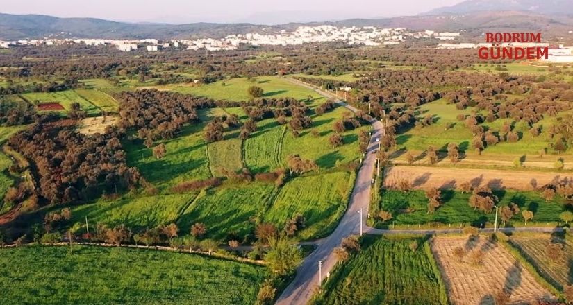 Bodrum ve Yatağan’da Orman Alanları Sınır Dışı Edildi