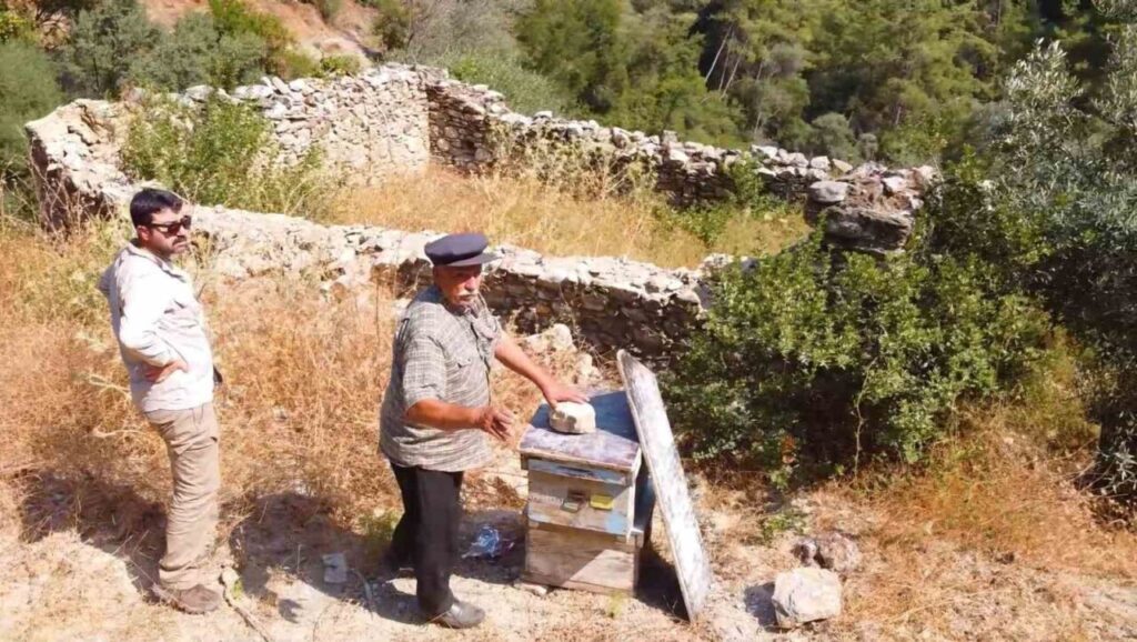 Kovan barınakları tekrar ayağa kaldırılıyor