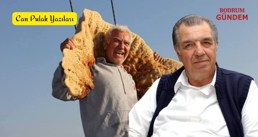 Aksona Ve Deniz