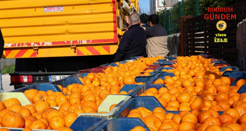 Bodrum Mandalini Türkiye’nin Dört Bir Yanına Ulaşıyor