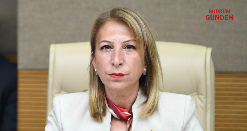 CHP’li Öneş Derici, Bayrağın Gönderden İndirilmesini TBMM’ye Taşıdı