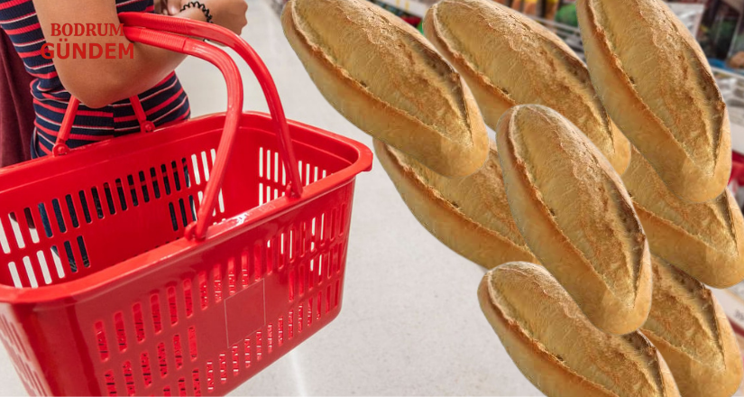 Türkiye Ekmekle Doyuyor, Refahla Değil