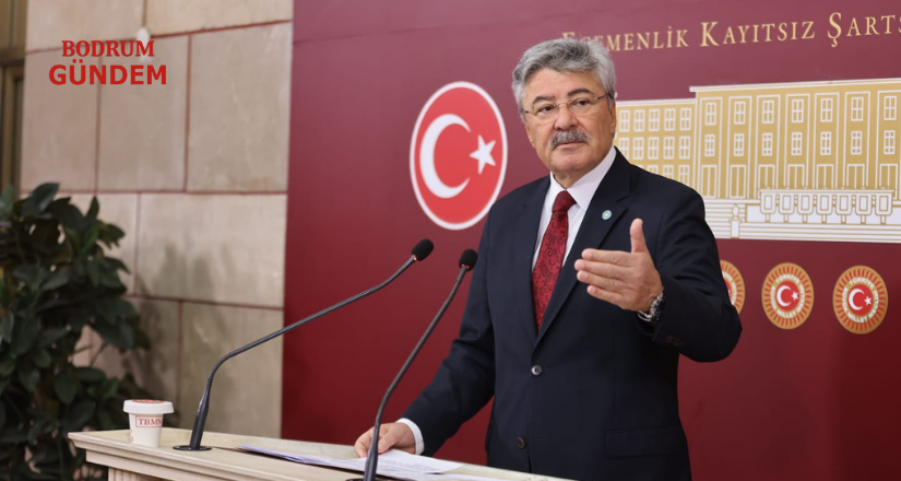 İYİ Partili Ergun: “İktidar, Zeytin Üreticisini Cezalandırır Gibi Davranıyor”