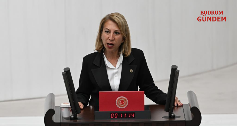 CHP Muğla Milletvekili Öneş Derici iktidara seslendi