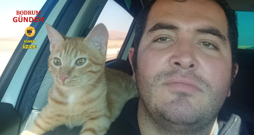 Kaybolan kedisi için binlerce kilometre yol yaptı