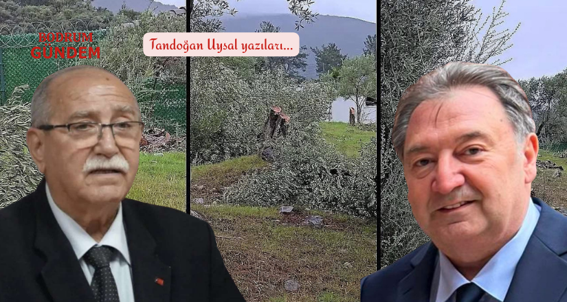 Rant Her Partide Aynı Kokar Ama Zeytinin Partisi Olmaz  