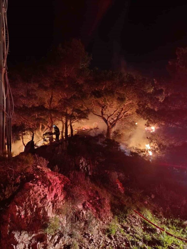 Bodrum’da ormanlık alanda yangın