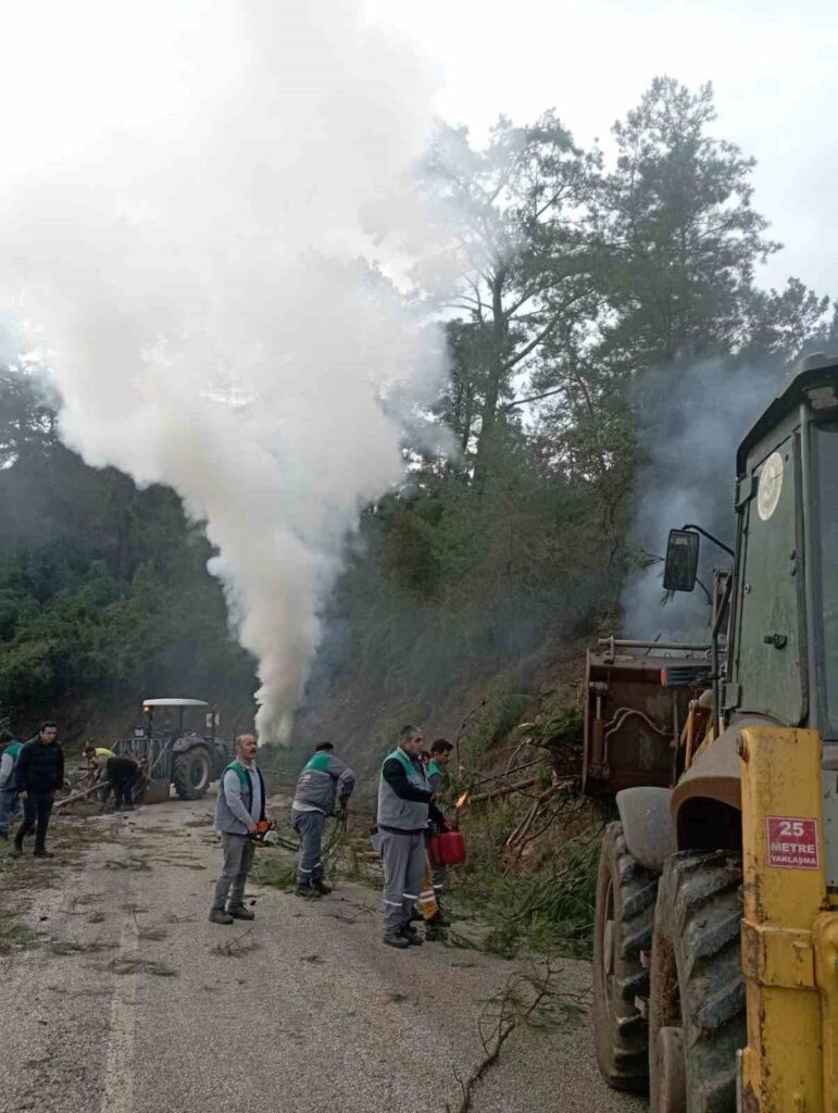 Orman ekiplerinden yangına karşı çalışmalar devam ediyor