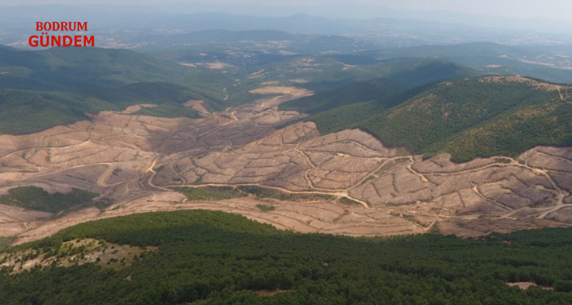 23 Yılda Maden Ruhsatı 325 Kat Arttı