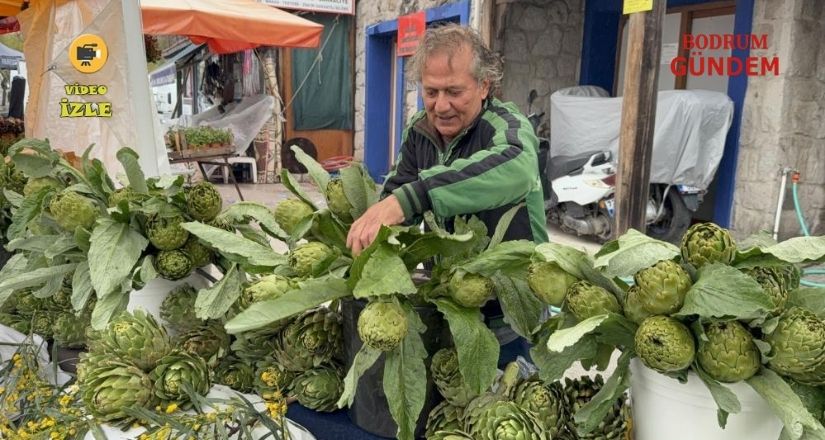 7. Bodrum Ot Festivalinden Canlı Yayın