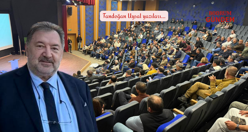 Bodrum’da Yangın Yönetmeliği Krizi