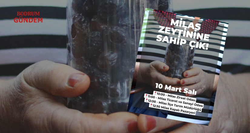 Milas’ta “Zeytinime Dokunma” eylemi 10 Mart’ta