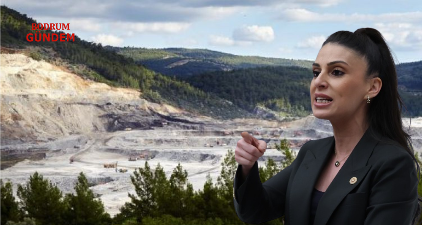 Milletvekili Özcan’dan Akbelen Madencilik Eleştirisi
