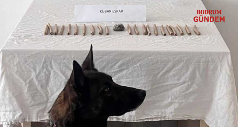 Muğla’da 42 Gözaltı: 7 Kişi Tutuklandı