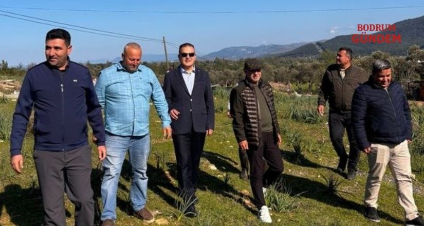 Kumköy ile Çamarası’nda Bodrumspor İçin Yer İncelemesi