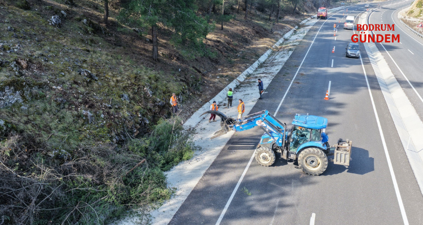 Orman yangınlarına karşı “Yeşil Kalkan”