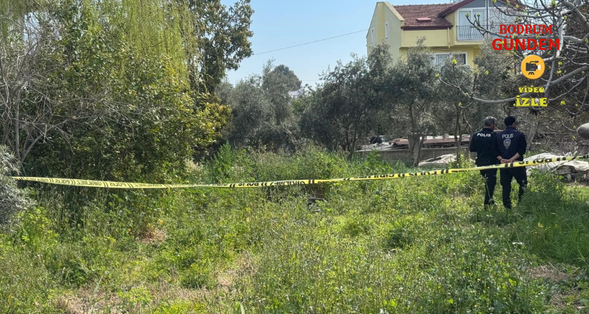 Yalnız yaşayan yaşlı kadın ölü bulundu  