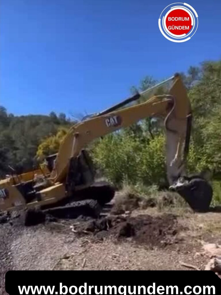 Göcek’te Orman Arazisinde Ağaç Kesimi Tepkisi